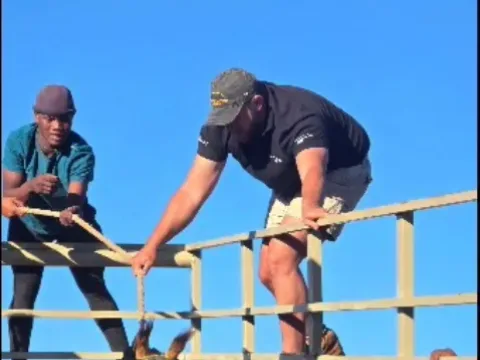 Capture team loading game from the ramp into the transport truck